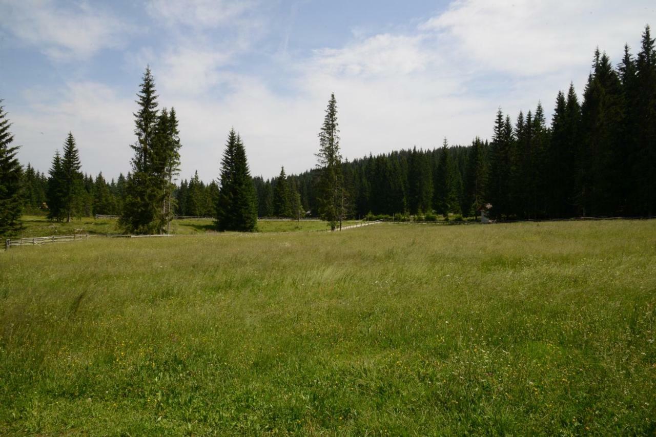 Pocitniska Hisa Jurcek Pokljuka Villa Goreljek Bagian luar foto