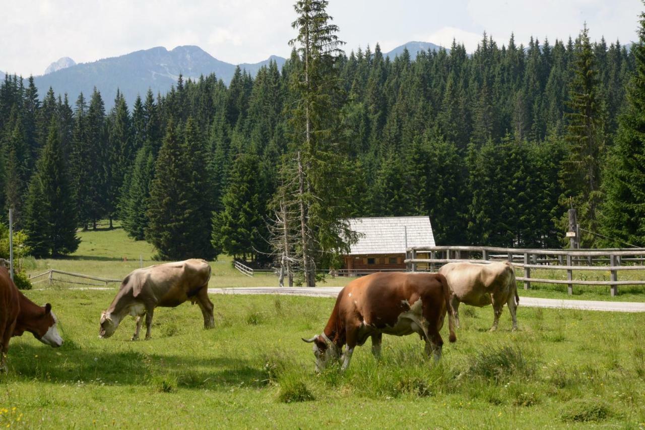 Pocitniska Hisa Jurcek Pokljuka Villa Goreljek Bagian luar foto