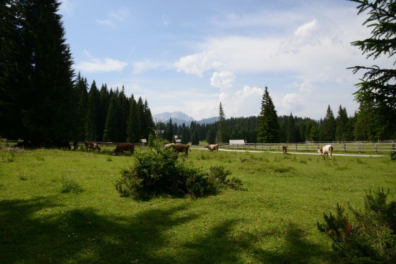 Pocitniska Hisa Jurcek Pokljuka Villa Goreljek Bagian luar foto